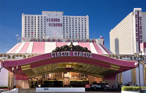 circus circus lv|circus circus las vegas reservation.